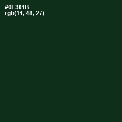 #0E301B - Cardin Green Color Image