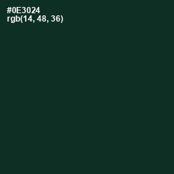 #0E3024 - Bottle Green Color Image