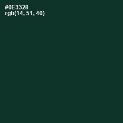 #0E3328 - Bottle Green Color Image