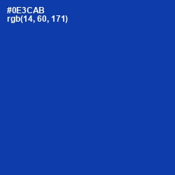 #0E3CAB - International Klein Blue Color Image