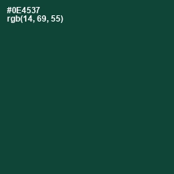 #0E4537 - Te Papa Green Color Image