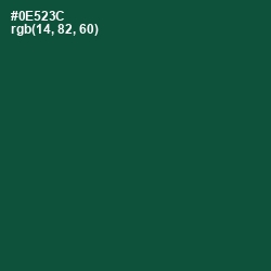 #0E523C - Te Papa Green Color Image