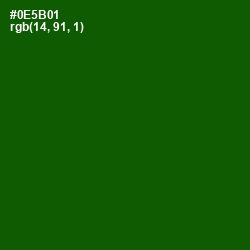 #0E5B01 - Dark Fern Color Image