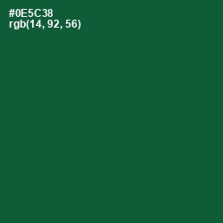 #0E5C38 - Te Papa Green Color Image
