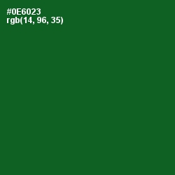 #0E6023 - Fun Green Color Image