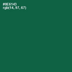 #0E6143 - Jewel Color Image