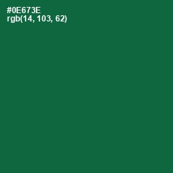 #0E673E - Fun Green Color Image