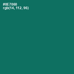 #0E7060 - Pine Green Color Image