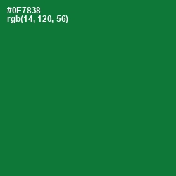#0E7838 - Fun Green Color Image