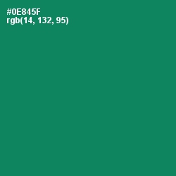 #0E845F - Deep Sea Color Image