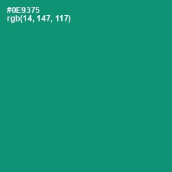 #0E9375 - Elf Green Color Image