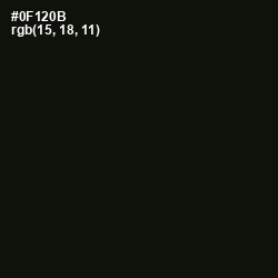 #0F120B - Gordons Green Color Image