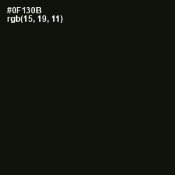 #0F130B - Gordons Green Color Image