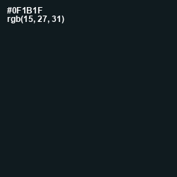 #0F1B1F - Aztec Color Image