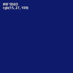 #0F1B6D - Lucky Point Color Image