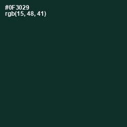 #0F3029 - Bottle Green Color Image