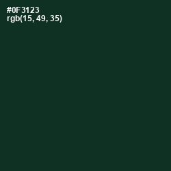 #0F3123 - Bottle Green Color Image