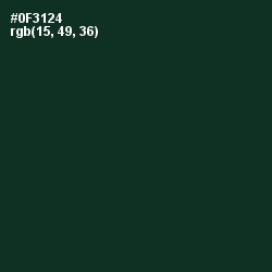 #0F3124 - Bottle Green Color Image