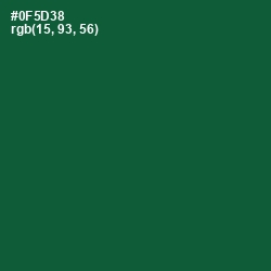 #0F5D38 - Te Papa Green Color Image