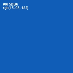 #0F5DB6 - Fun Blue Color Image