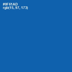 #0F61AD - Denim Color Image