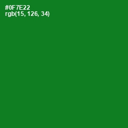 #0F7E22 - Fun Green Color Image