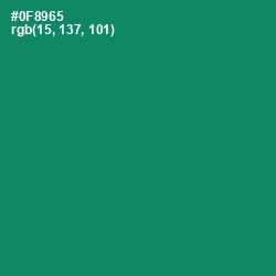 #0F8965 - Observatory Color Image
