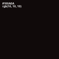 #100A0A - Asphalt Color Image
