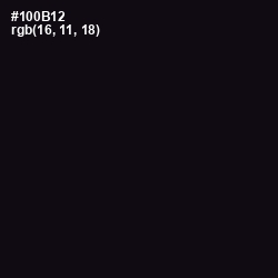 #100B12 - Woodsmoke Color Image