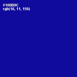 #100B9C - Ultramarine Color Image