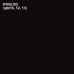 #100C0D - Asphalt Color Image