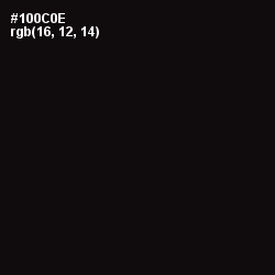#100C0E - Asphalt Color Image