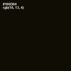 #100D04 - Asphalt Color Image