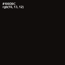 #100D0C - Asphalt Color Image
