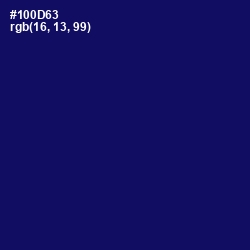 #100D63 - Arapawa Color Image