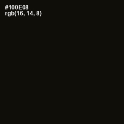 #100E08 - Asphalt Color Image