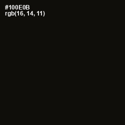 #100E0B - Asphalt Color Image