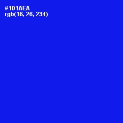 #101AEA - Blue Color Image