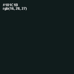 #101C1B - Vulcan Color Image