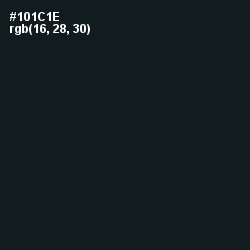 #101C1E - Vulcan Color Image