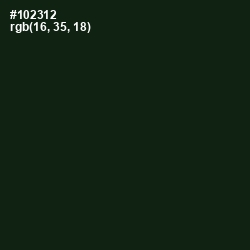 #102312 - Seaweed Color Image