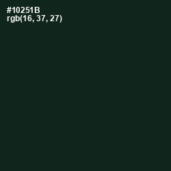 #10251B - Seaweed Color Image