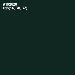 #102620 - Celtic Color Image