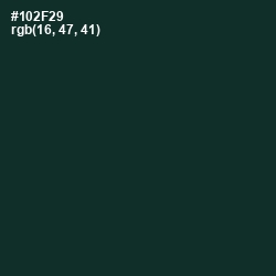 #102F29 - Timber Green Color Image