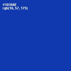 #1039AF - Persian Blue Color Image
