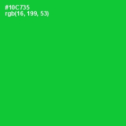 #10C735 - Green Color Image