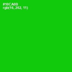 #10CA0B - Green Color Image