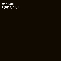 #110A00 - Asphalt Color Image