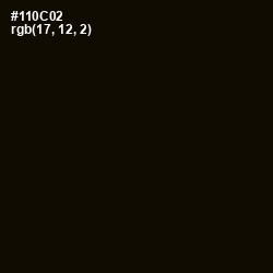 #110C02 - Asphalt Color Image