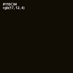 #110C04 - Asphalt Color Image